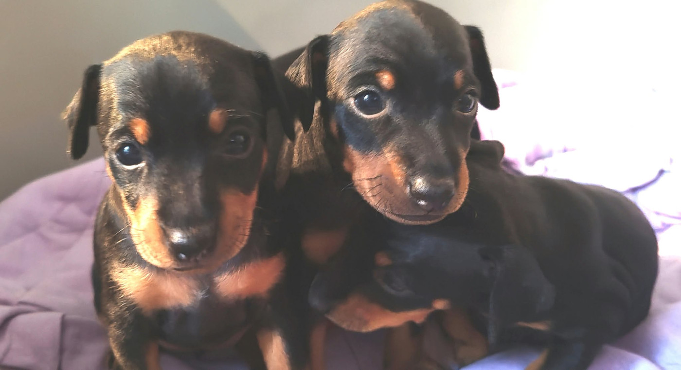Des bébés !!!!!!